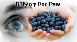 Bilberry For Eyes